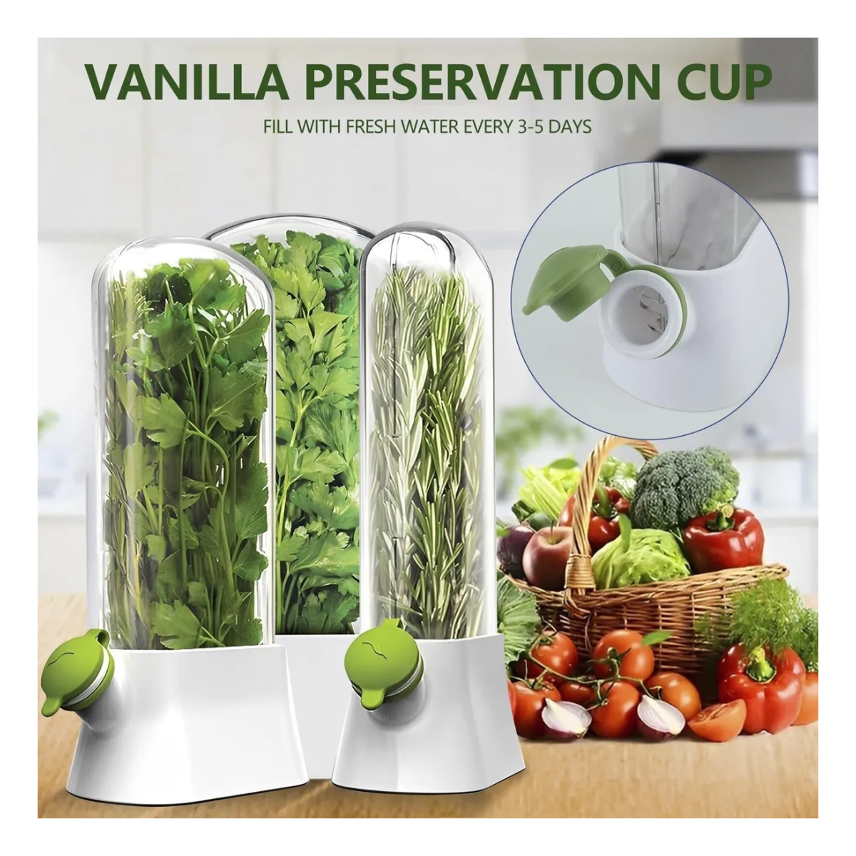 Recipiente almacenamiento para verduras